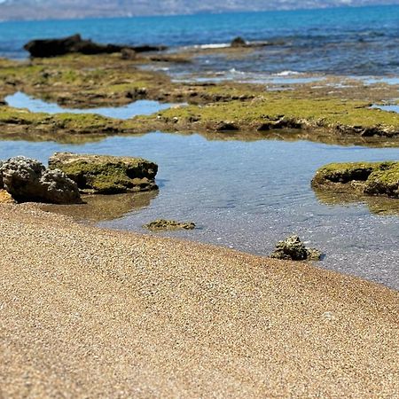 Lu Mari Case Vacanze Balestrate Exterior foto