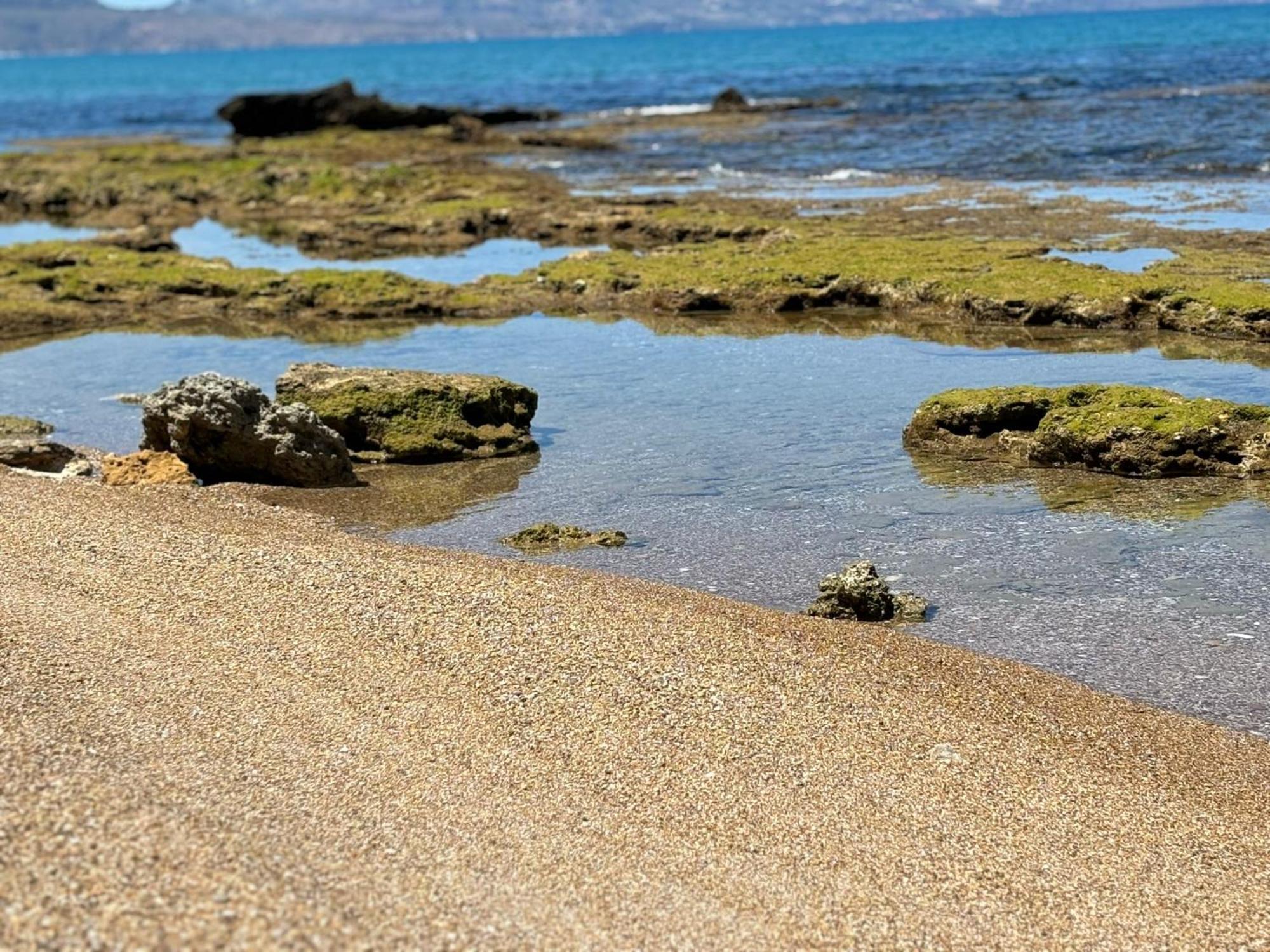 Lu Mari Case Vacanze Balestrate Exterior foto