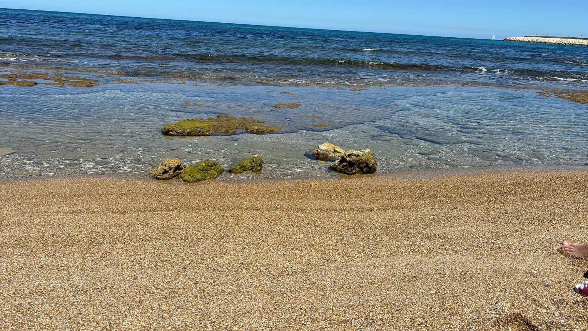 Lu Mari Case Vacanze Balestrate Exterior foto